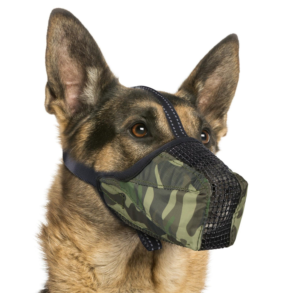 Pawfun mordaza de malla transpirable para perros, ideal para salidas largas