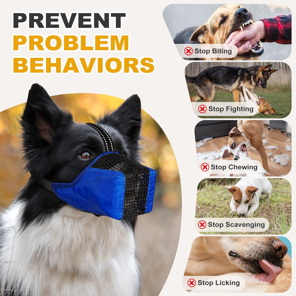 Pawfun Muzzle en paseo urbano, perro cómodo y seguro.