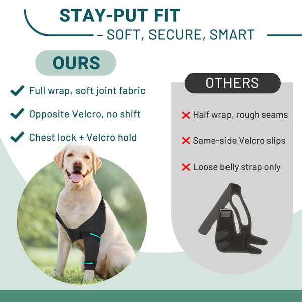 Protección de codo para perro en primer plano con diseño práctico