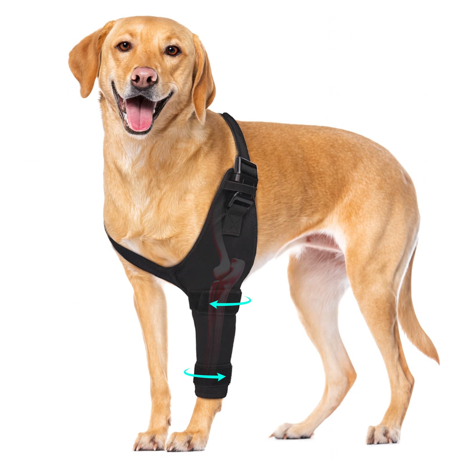 Pawfun protector codo para perros, soporte suave durante caminatas.