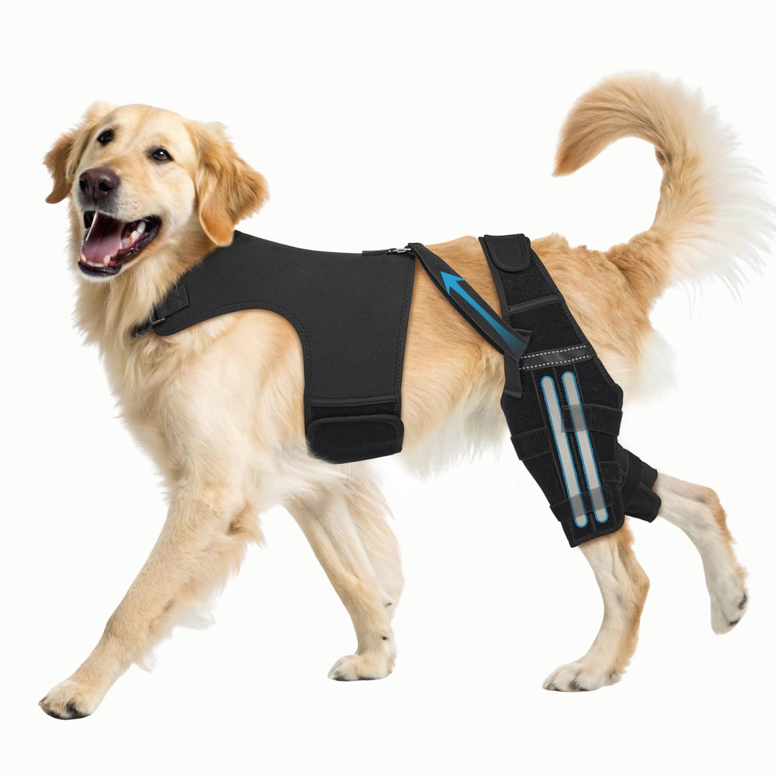 Pawfun rodillera LCA para perro, soporte estable para caminar