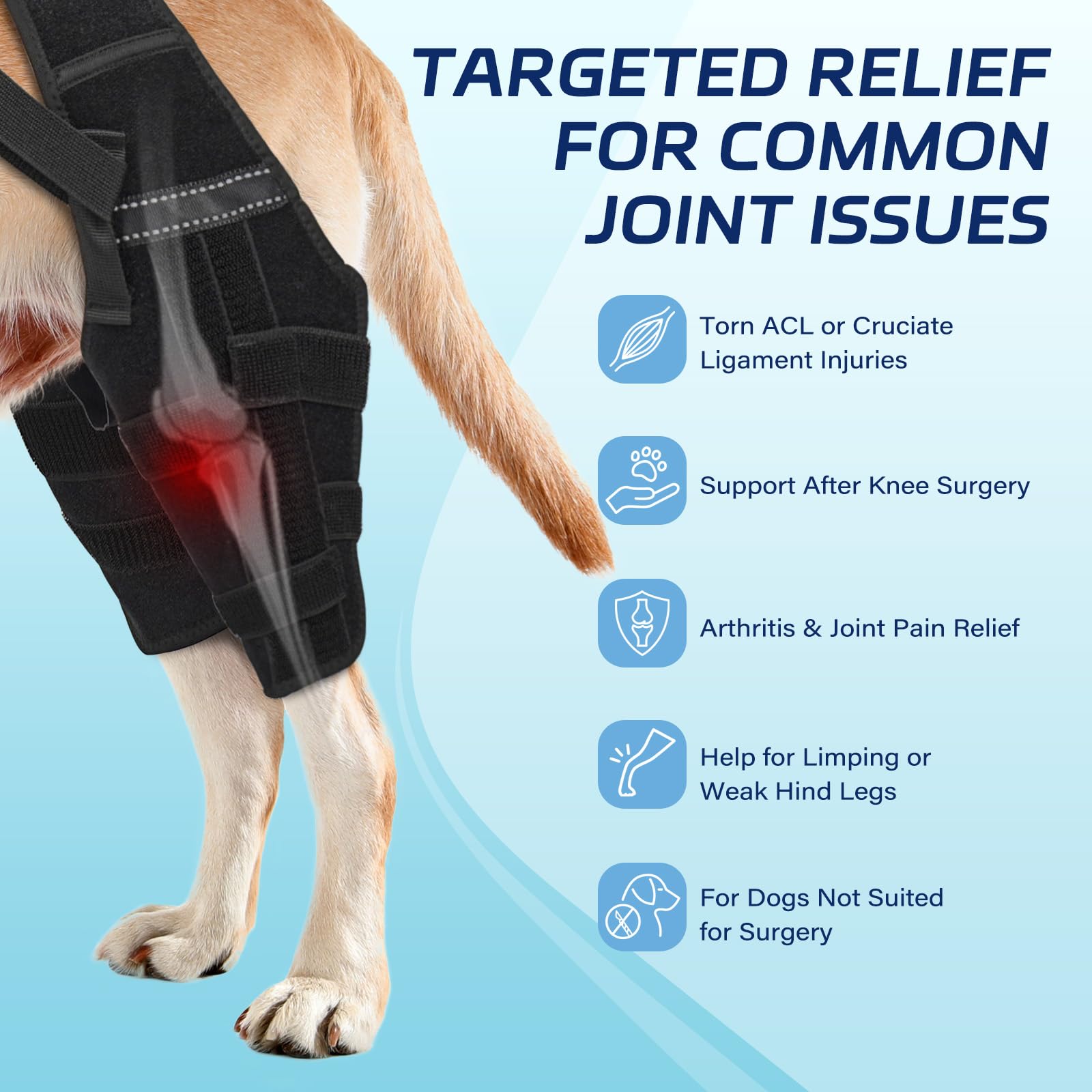 Pawfun rodillera con ajuste de cinturón; seguridad durante la caminata.