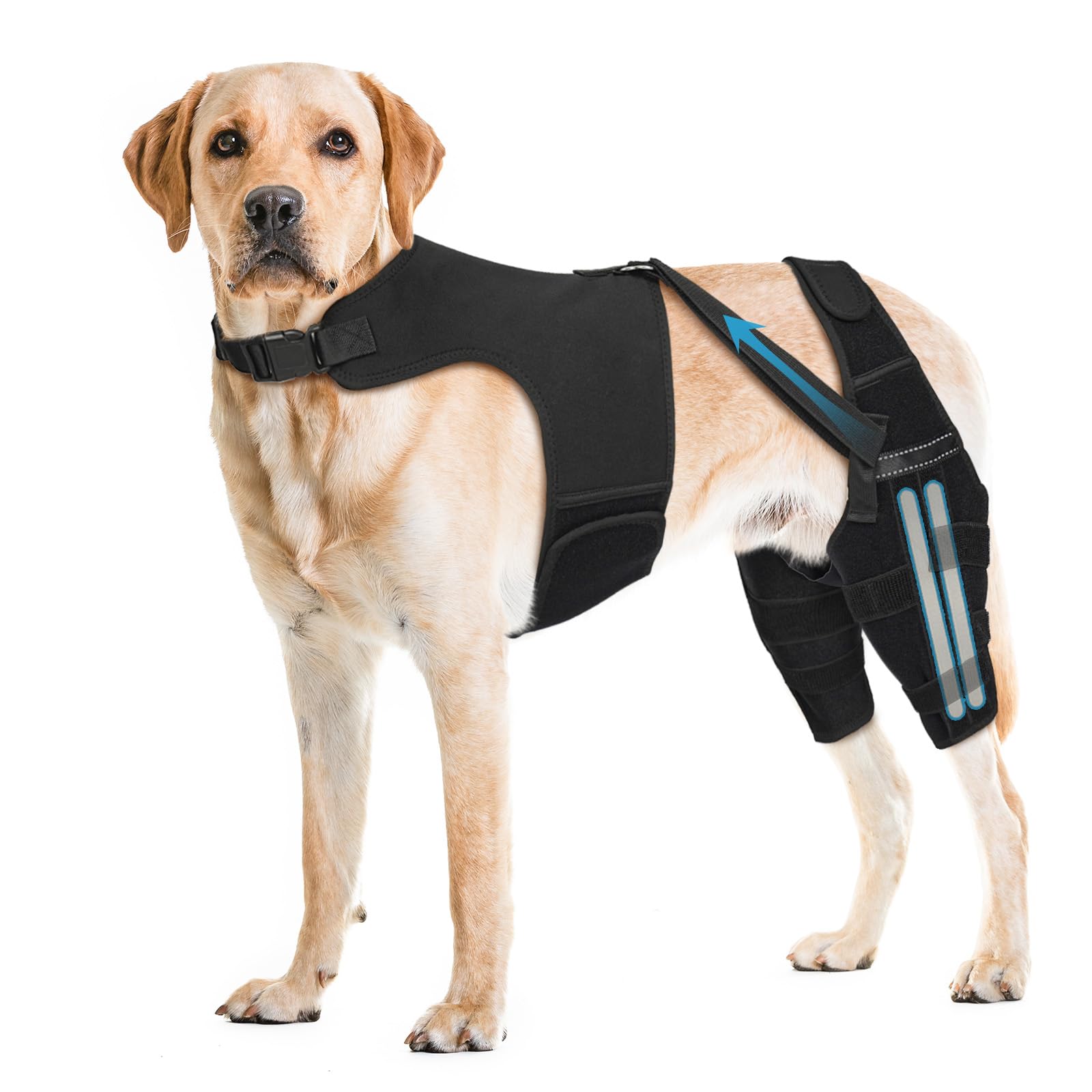 Pawfun rodillera para perros con chaleco antideslizante; soporte estable para paseos.