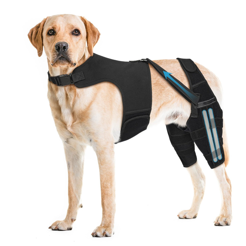 Pawfun rodillera para perros con chaleco antideslizante; soporte estable para paseos.