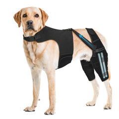 Pawfun rodillera para perros con chaleco antideslizante; soporte estable para paseos.
