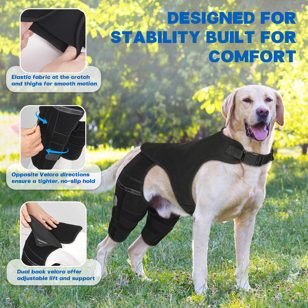 Pawfun soporte-doble-piernas-perro: distribución de presión para recuperación equilibrada.