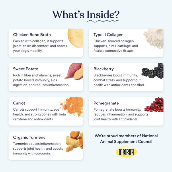 Pawfy Caldo de Huesos para Perros: sabor atractivo para motivar a comer.