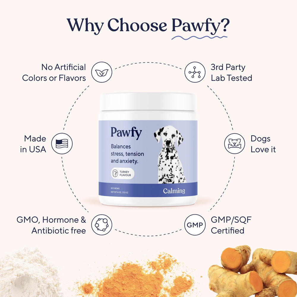 Pawfy facilita viajes con perro más sereno