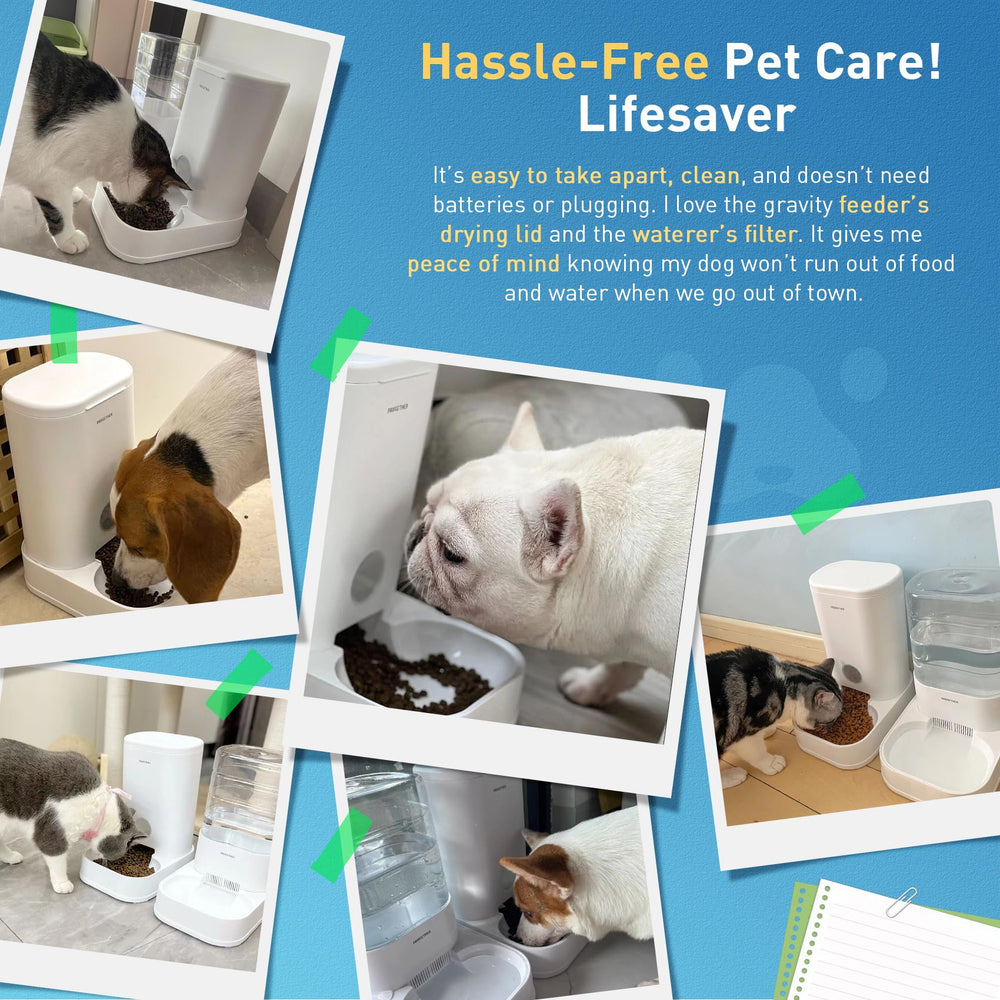 PAWGETHER Dispensador automático: vista que evita fugas para hogares activos