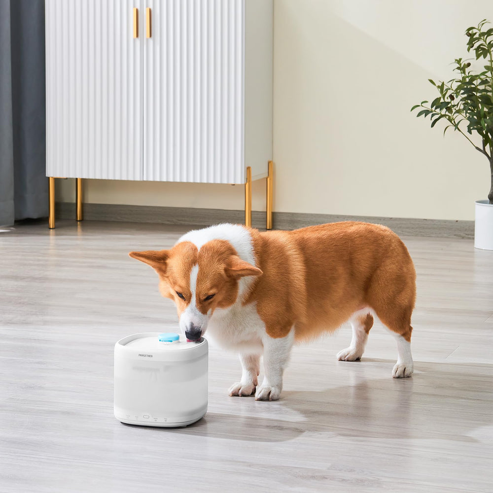 PAWGETHER filtro compatible con modelos PURE3SU, PURE3 y PURE3s.