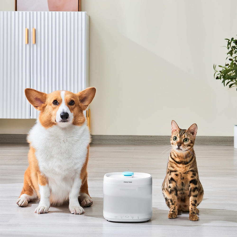 PAWGETHER paquete de 3 filtros para fuente de agua.