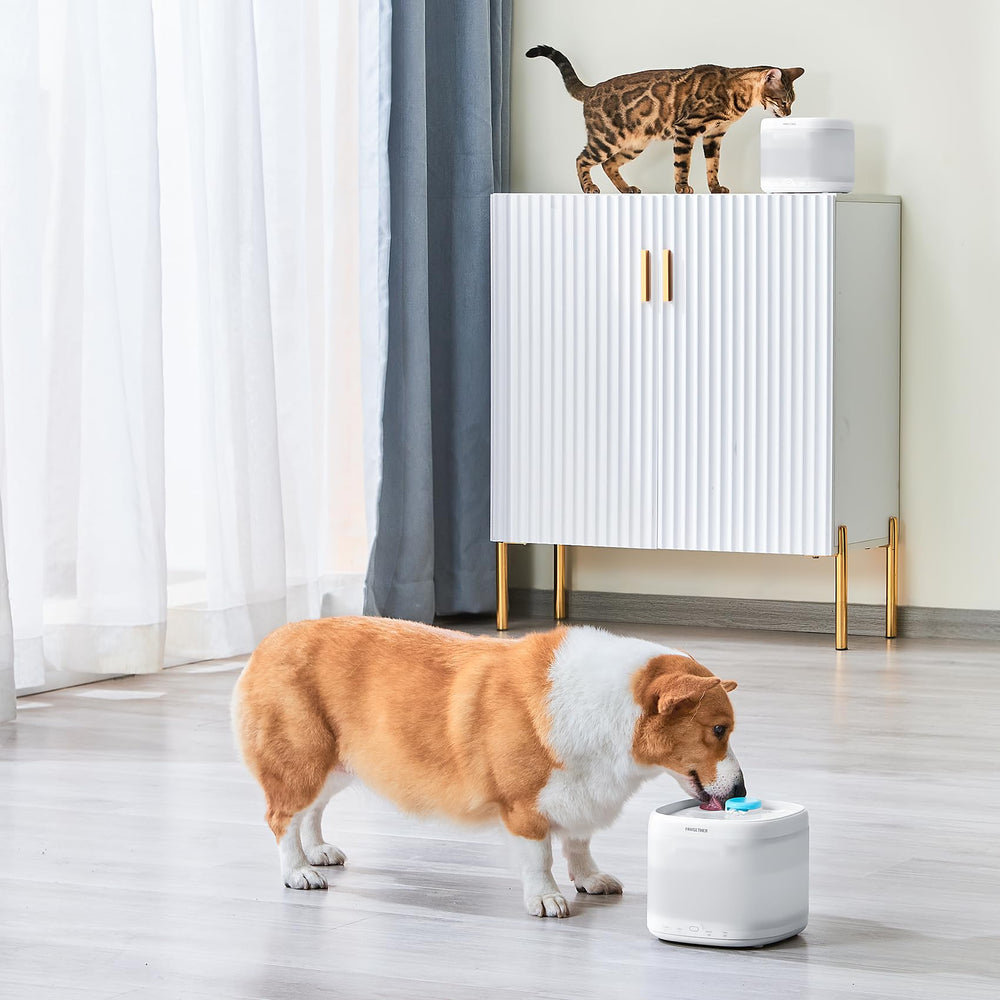PAWGETHER uso práctico en casa para mascotas con fuente de agua.