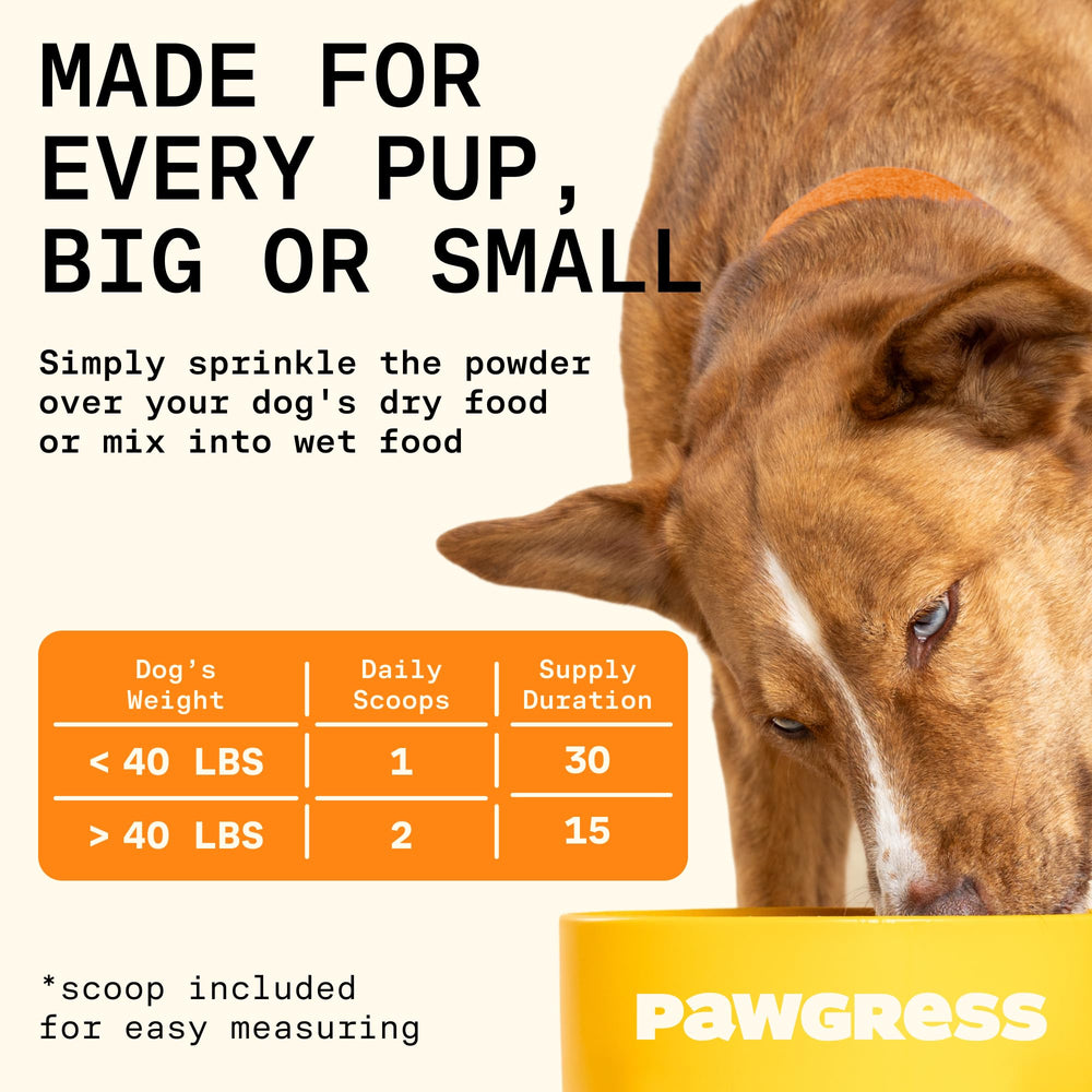PAWGRESS caldo de huesos de res para perro, sabor reconfortante.