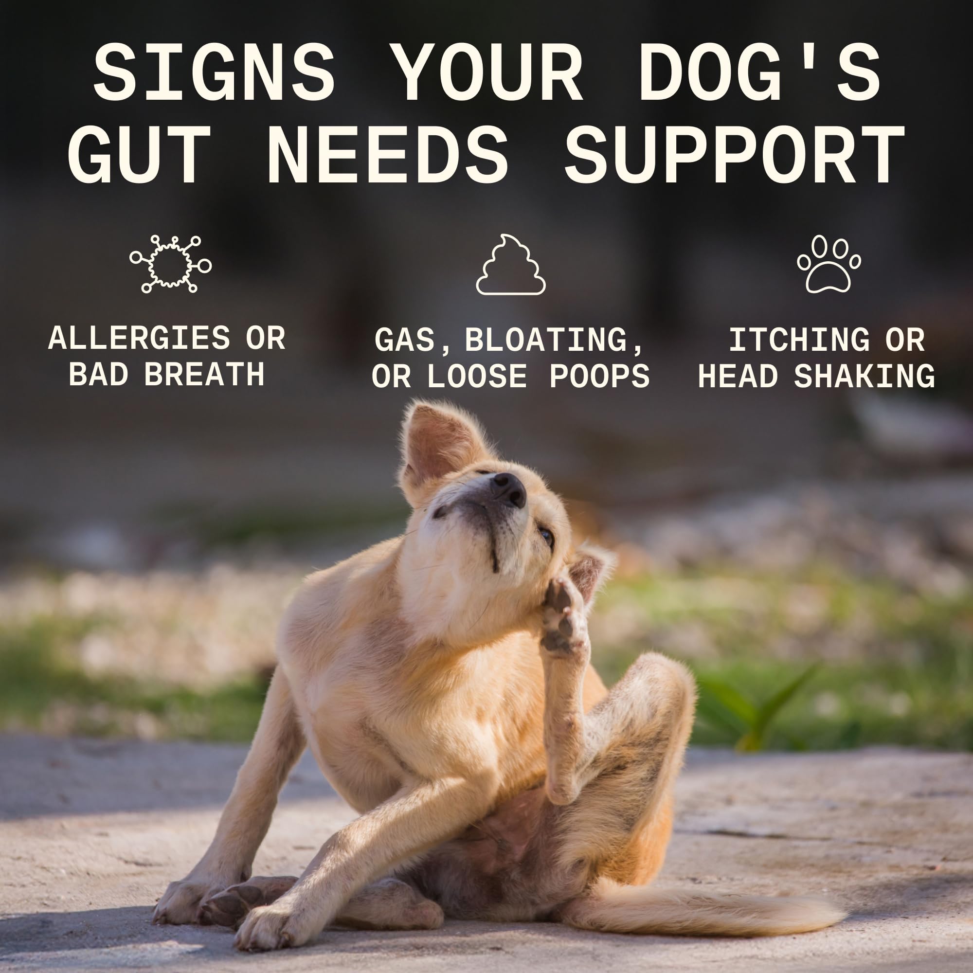 PAWGRESS prebióticos y probióticos para perro, promueve microbiota intestinal.