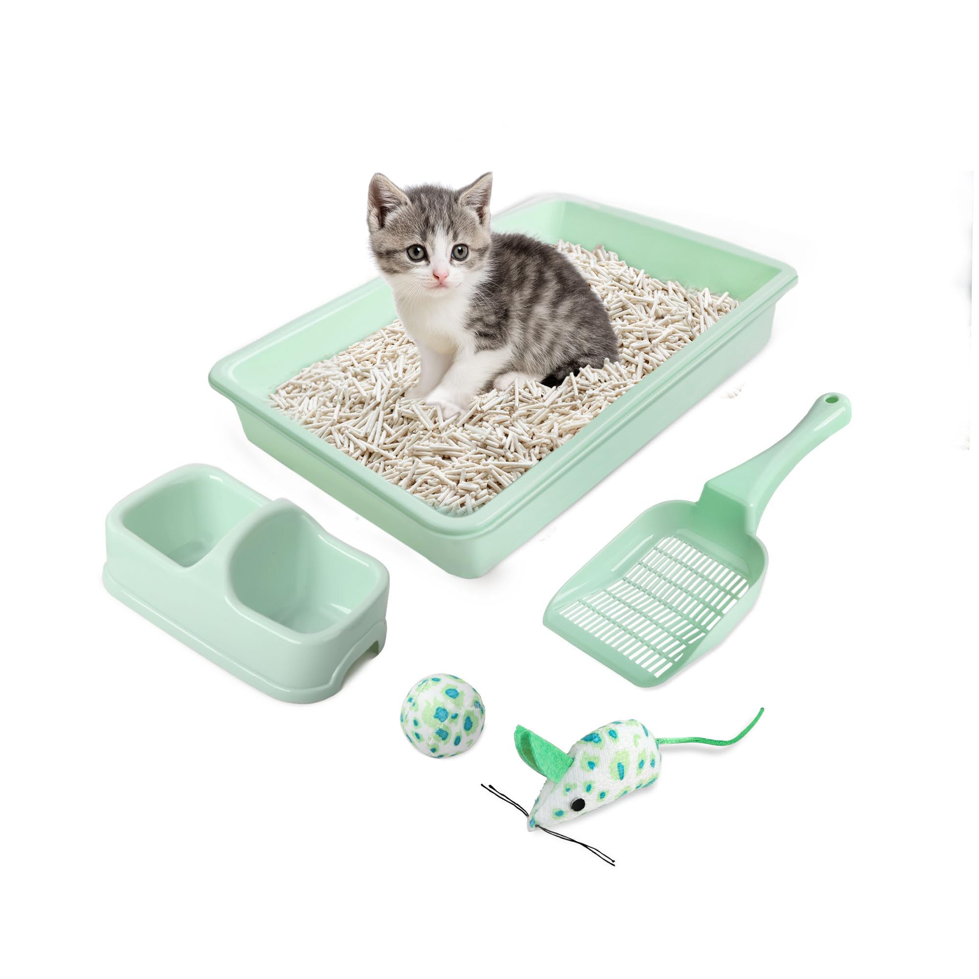PAWISE caja de arena para gatito con entrada baja, fácil acceso.