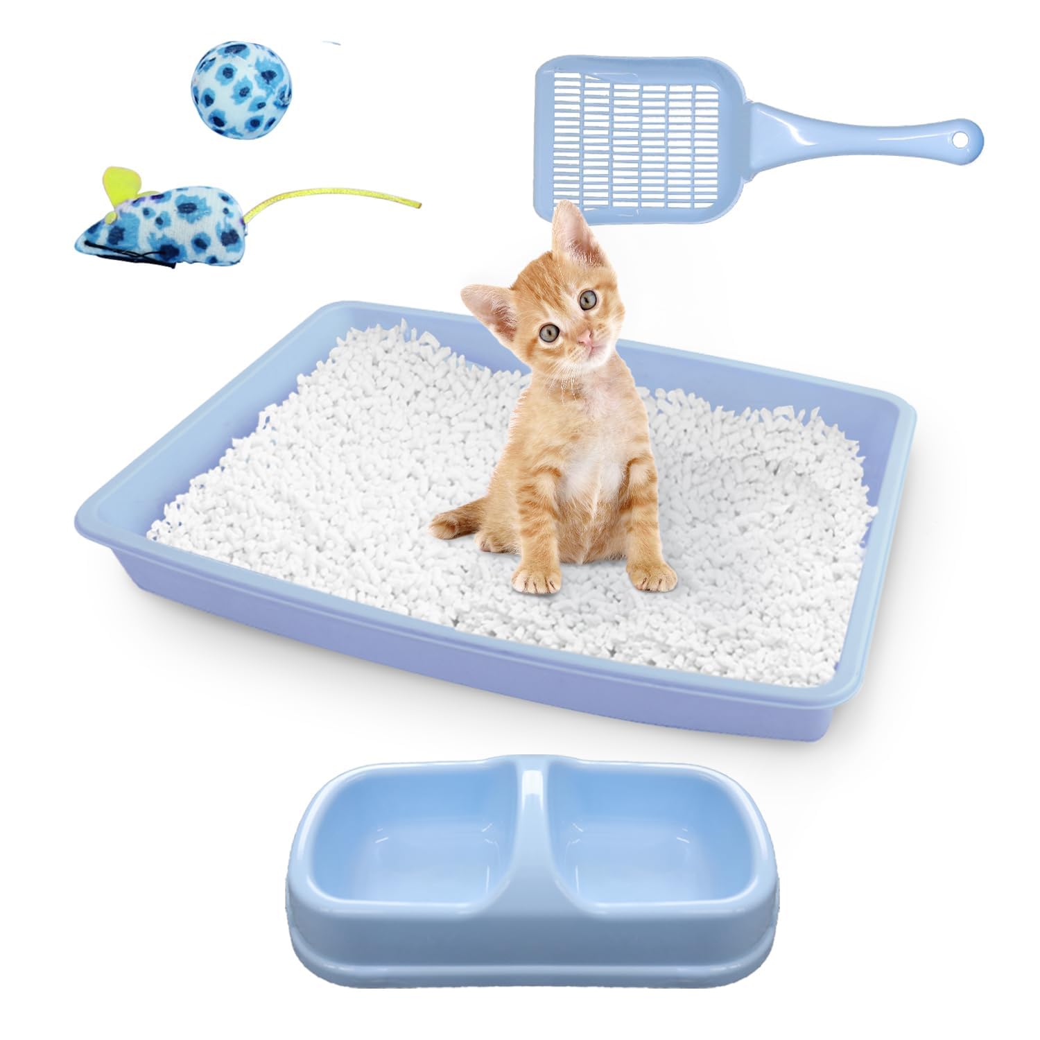 PAWISE caja litter gato nuevo: ideal para gatitos pequeños y acceso sencillo.