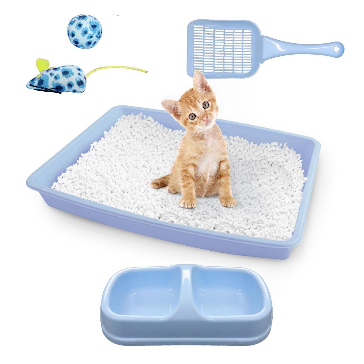 PAWISE caja litter gato nuevo: ideal para gatitos pequeños y acceso sencillo.
