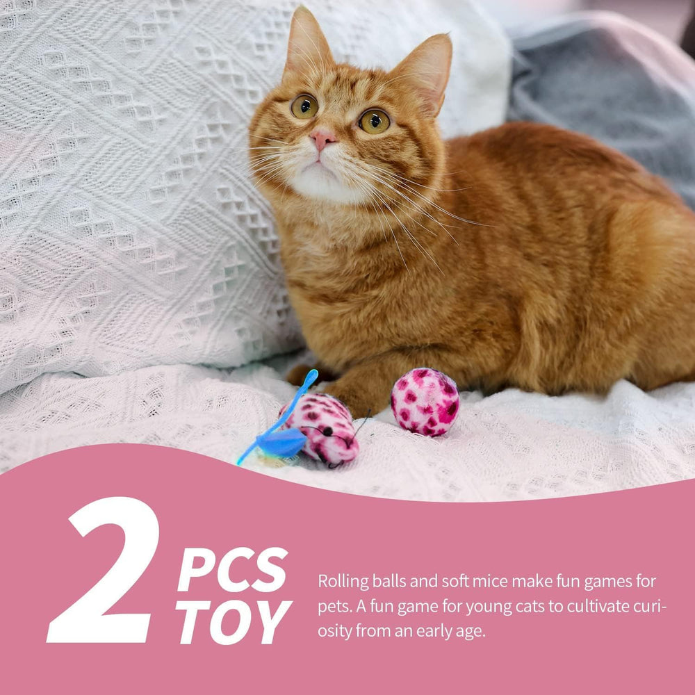PAWISE conjunto para primeros dueños de gatitos todo lo necesario