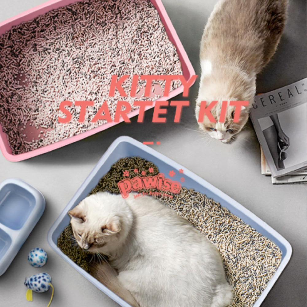 PAWISE perfecto para viajar con gatitos pequeños y curiosos