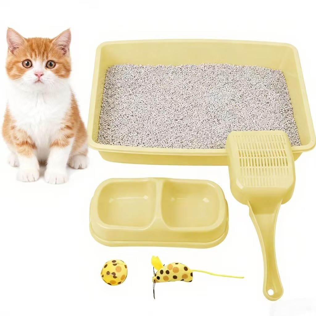 PAWISE juguetes para gatitos ayudan a evitar el aburrimiento diario.