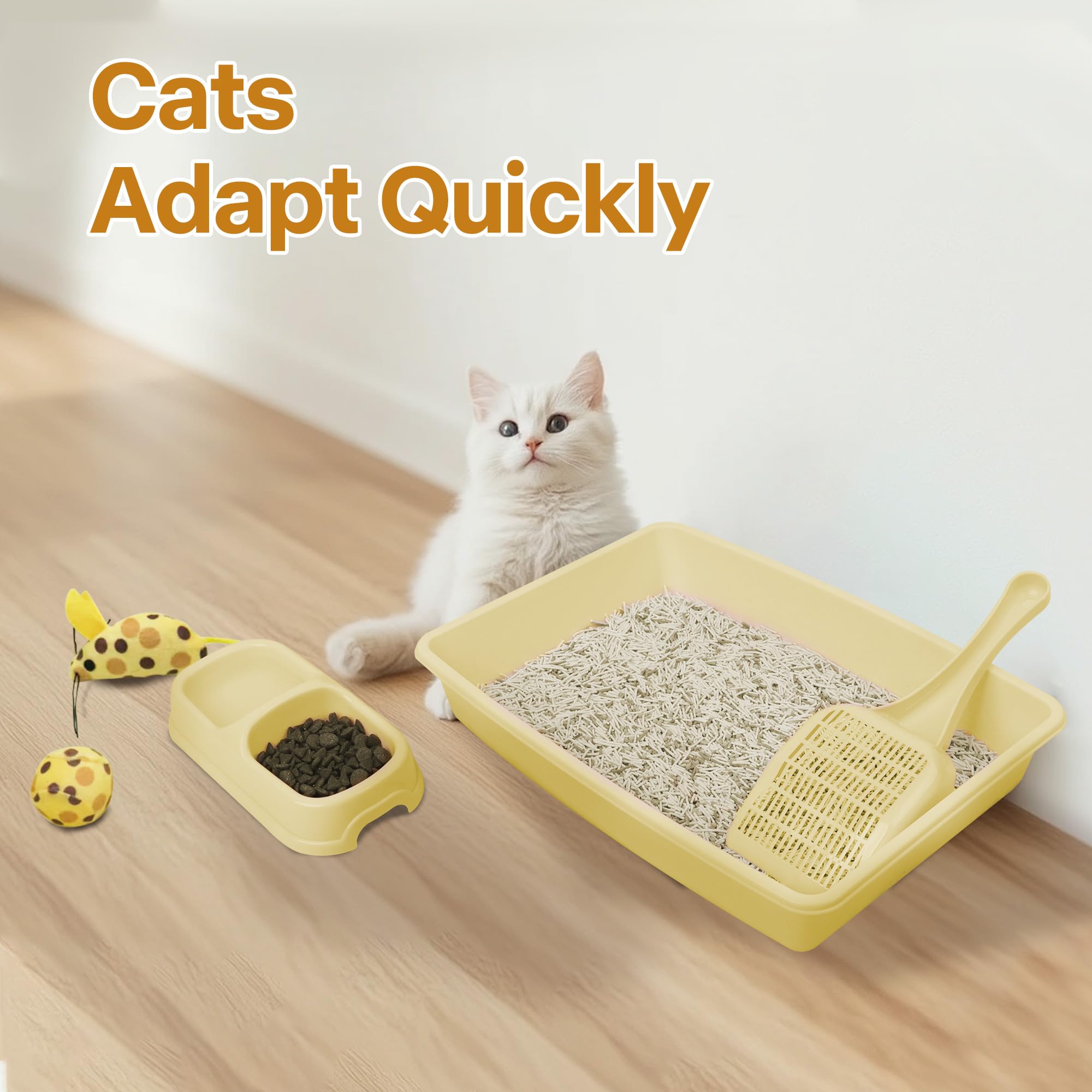 PAWISE juguetes gatito, estimulan juego y exploración diaria.
