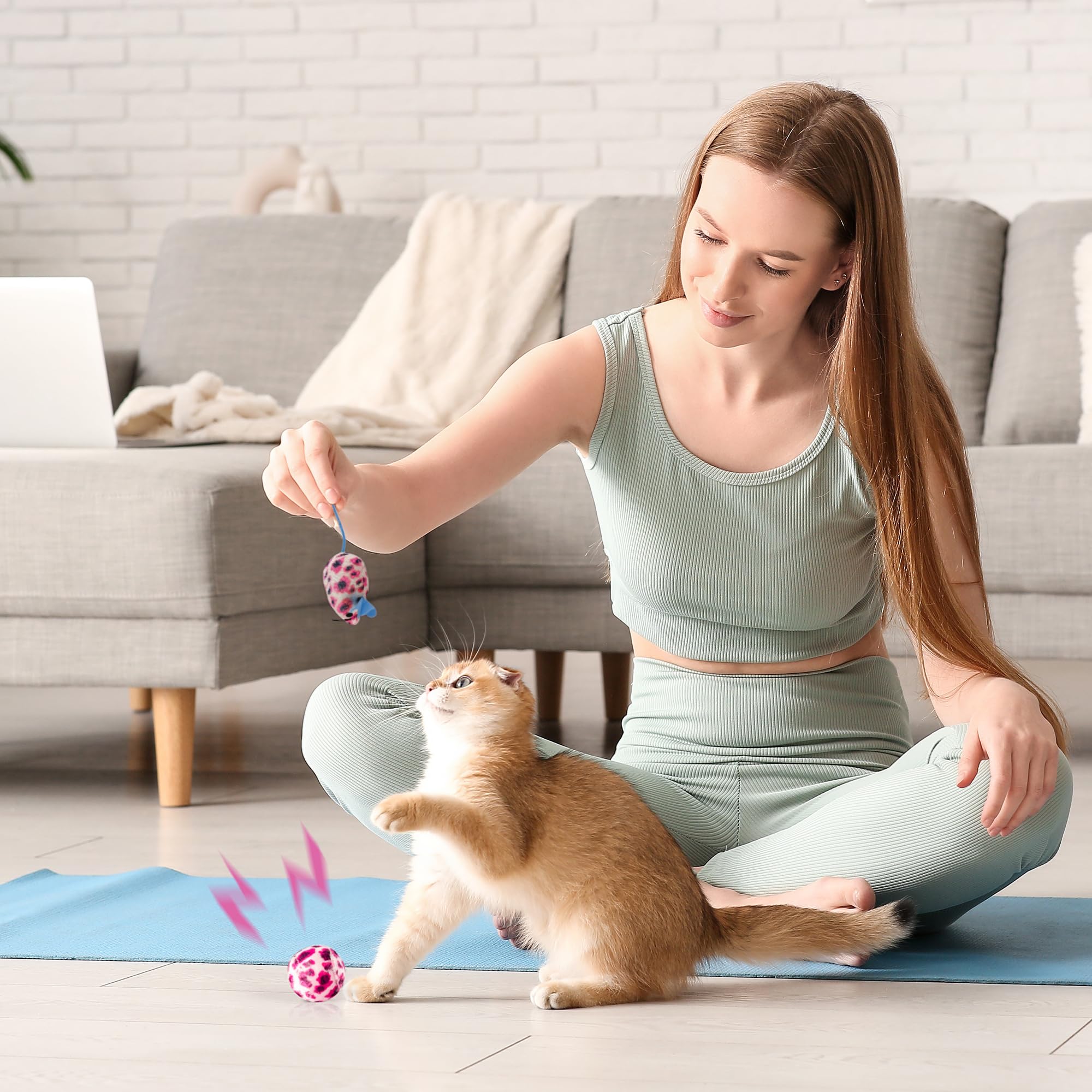 PAWISE kit de gatito de inicio, ideal para nuevos dueños
