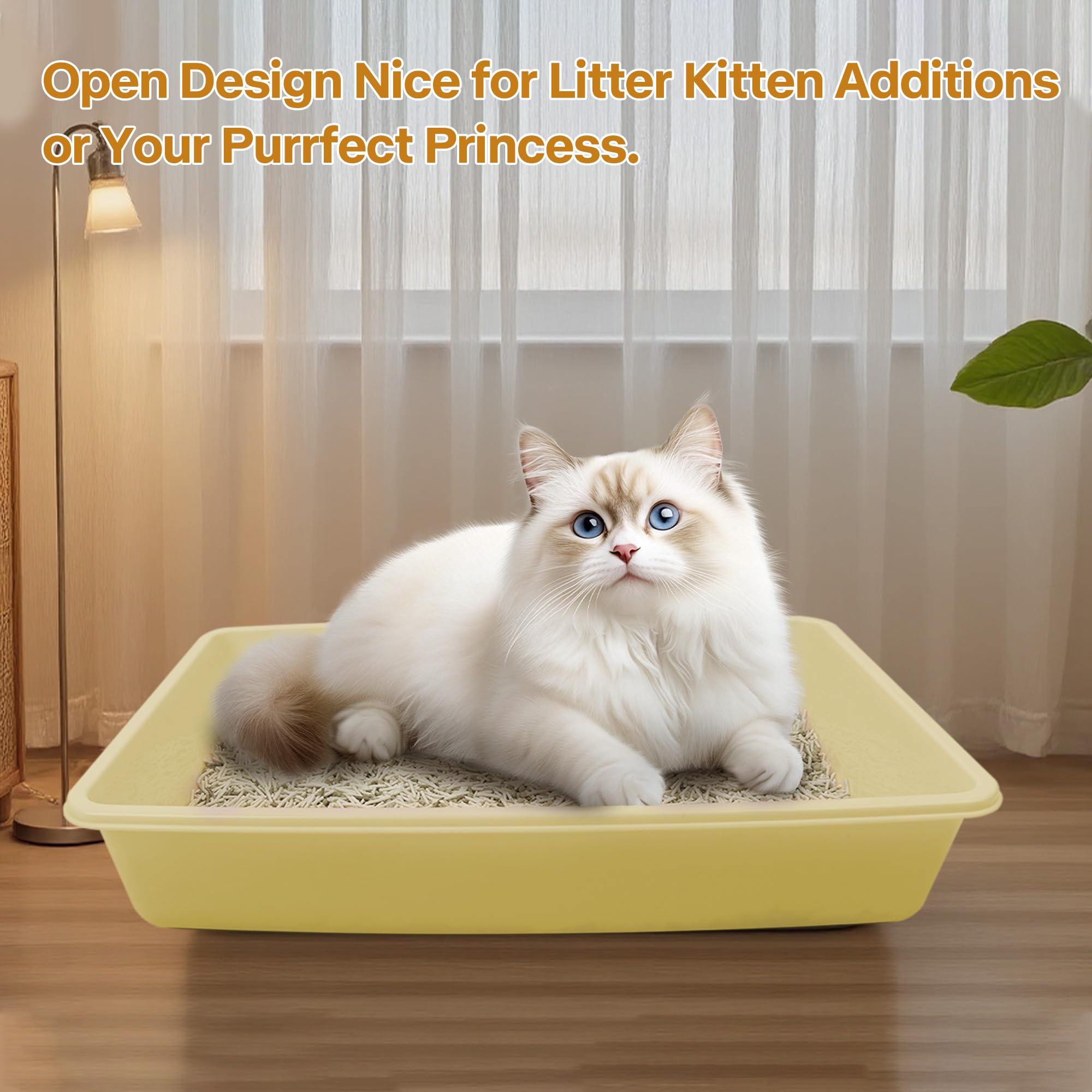PAWISE kit inicio gatitos amarillo, todo en un paquete para nuevos dueños.