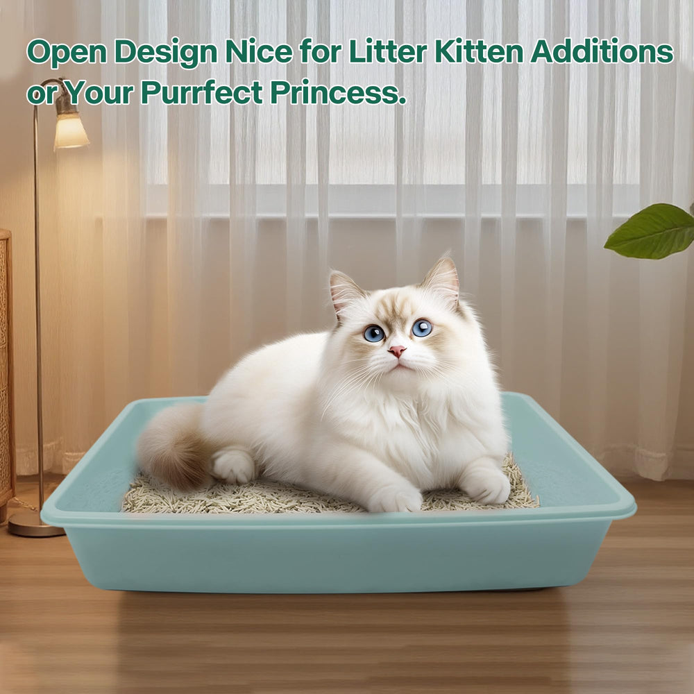 PAWISE kit inicio gatitos compacto para apartamentos y primeros dueños