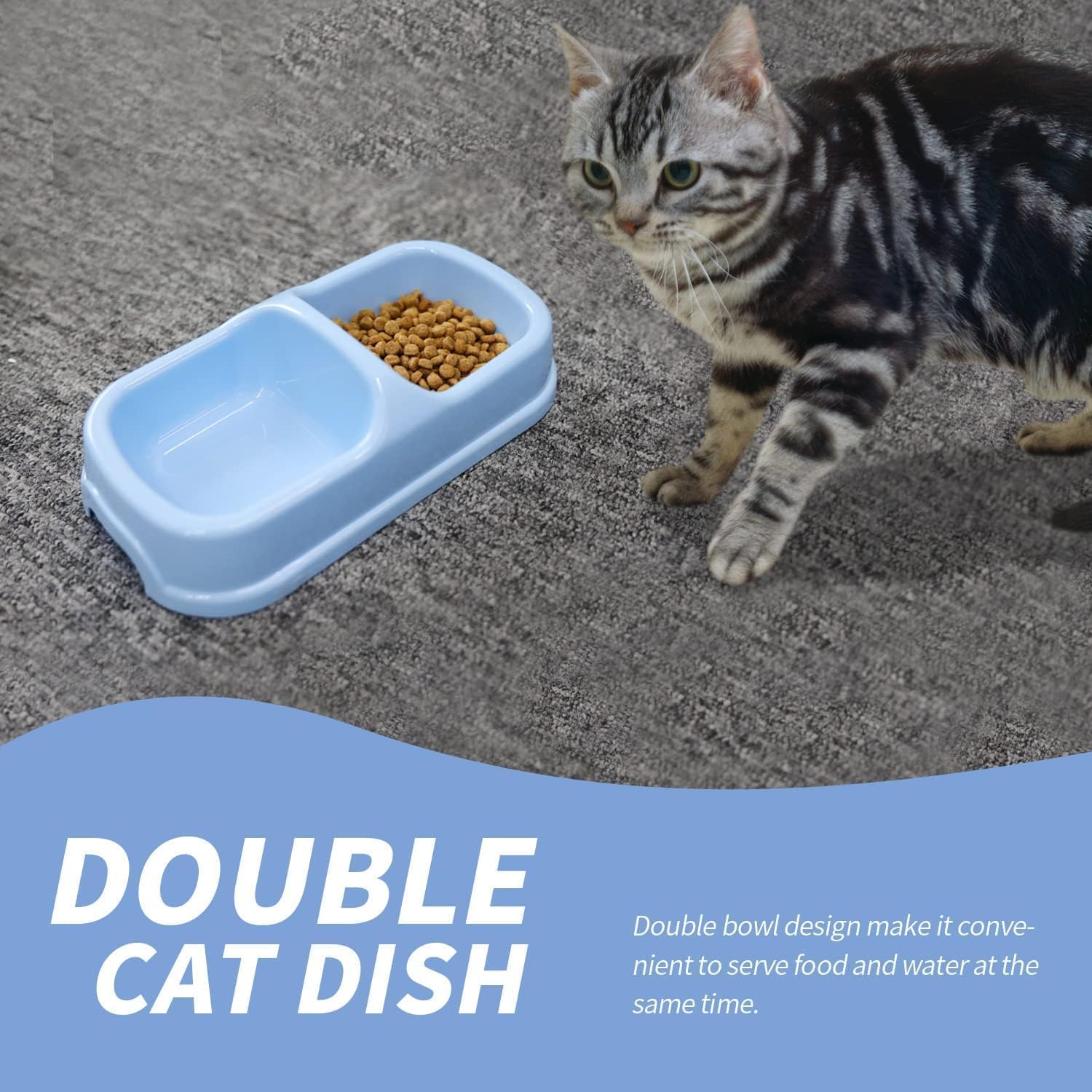 PAWISE kit primerizos gatito, todo en uno para nuevos dueños.