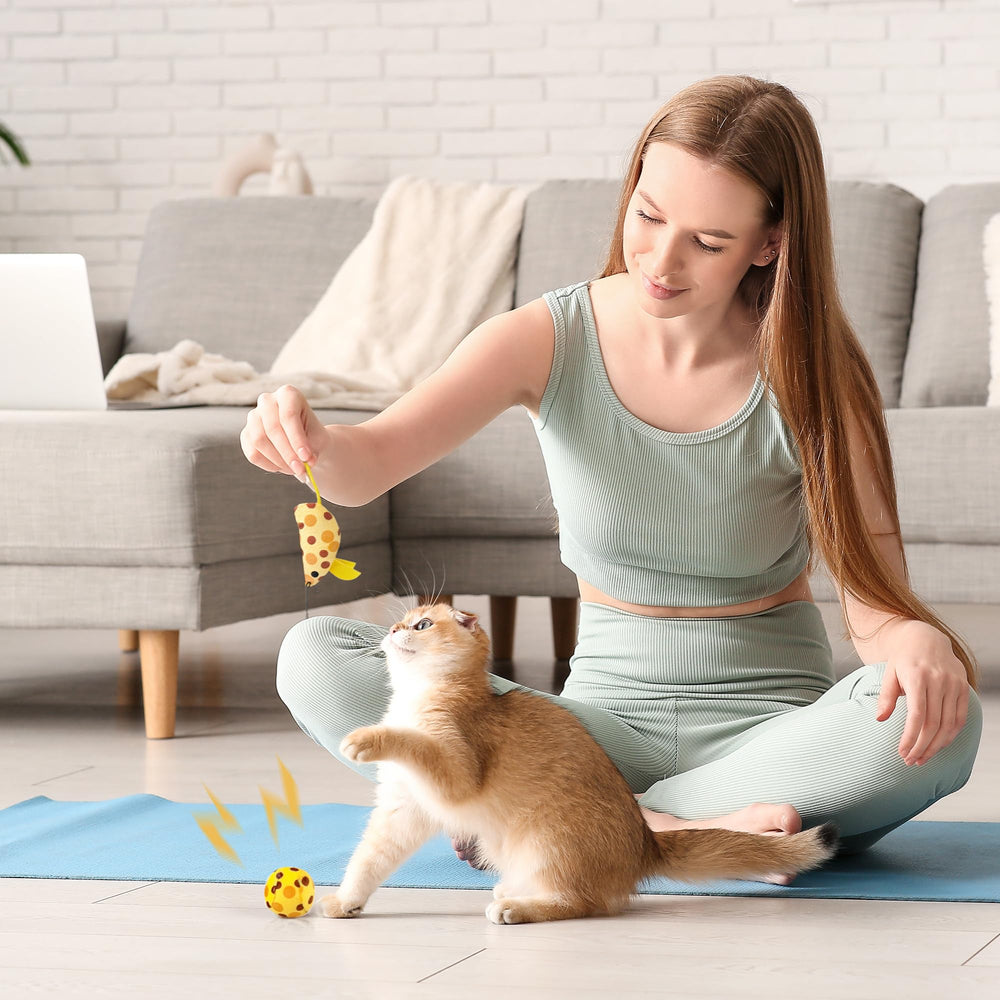 PAWISE pelota gatito promueve juego activo y ejercicio en casa.
