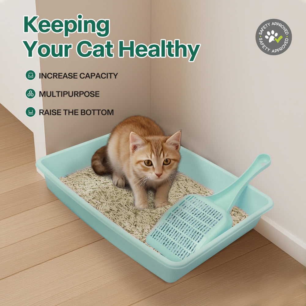 PAWISE cuencos dobles verdes para comida y agua al alcance del gatito