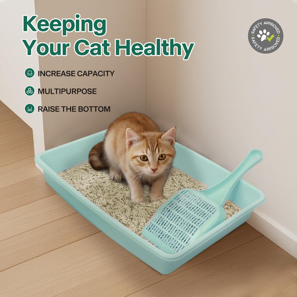 PAWISE cuencos dobles verdes para comida y agua al alcance del gatito