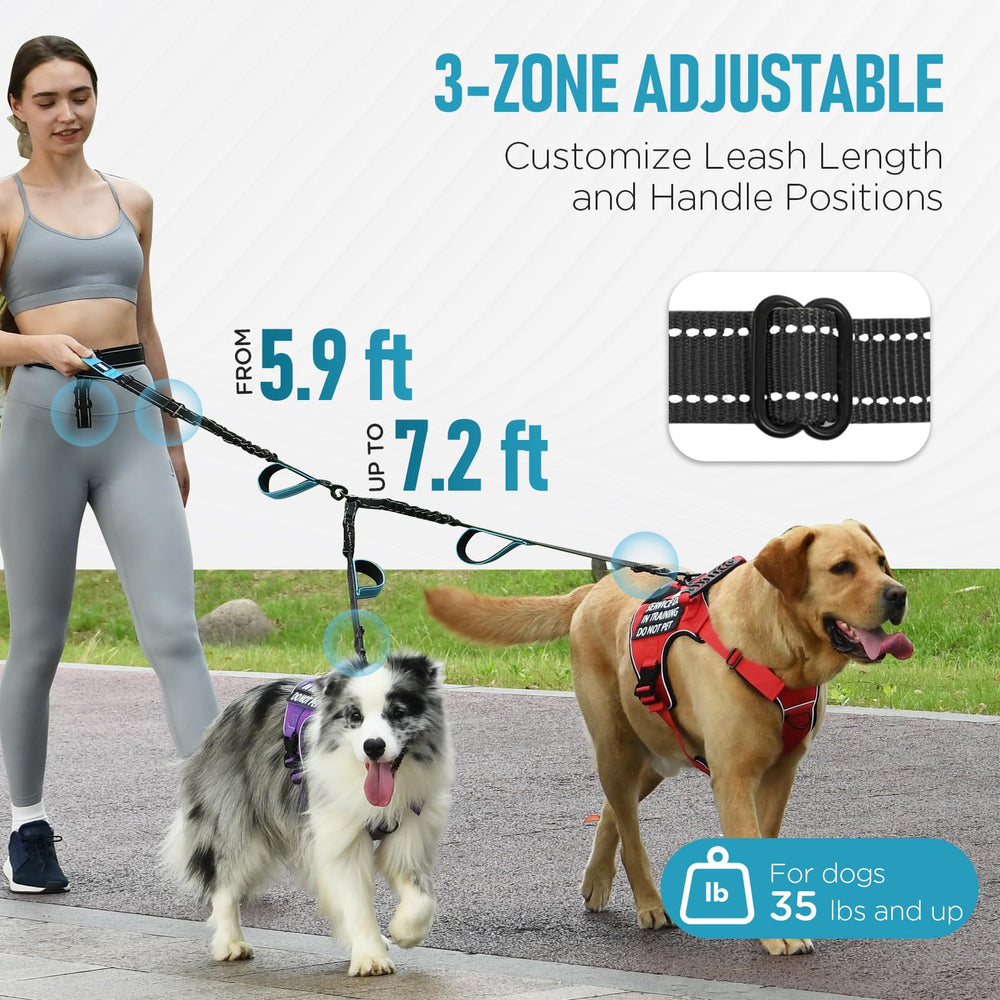 PawistaPal cinturón ergonómico, ajuste cómodo para caminar con dos perros.