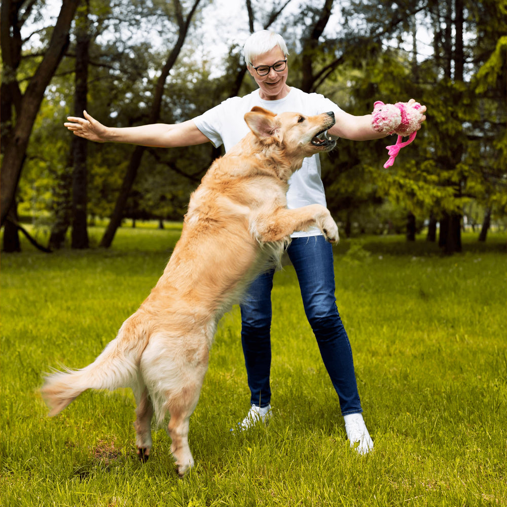Pawlabs G-Max etiqueta ingredientes clave, 8 componentes para articulaciones fuertes.