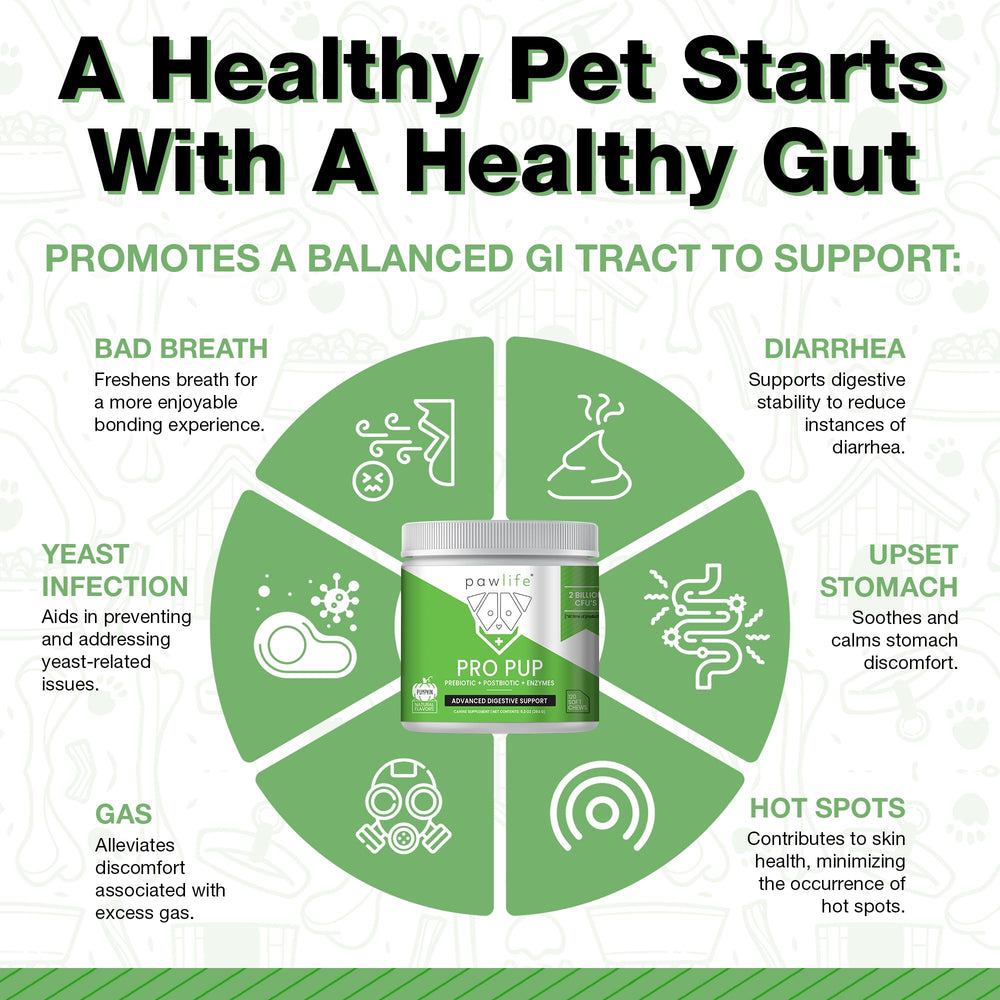 Pawlife probióticos para perros: detalle de ingredientes y sabor a calabaza.