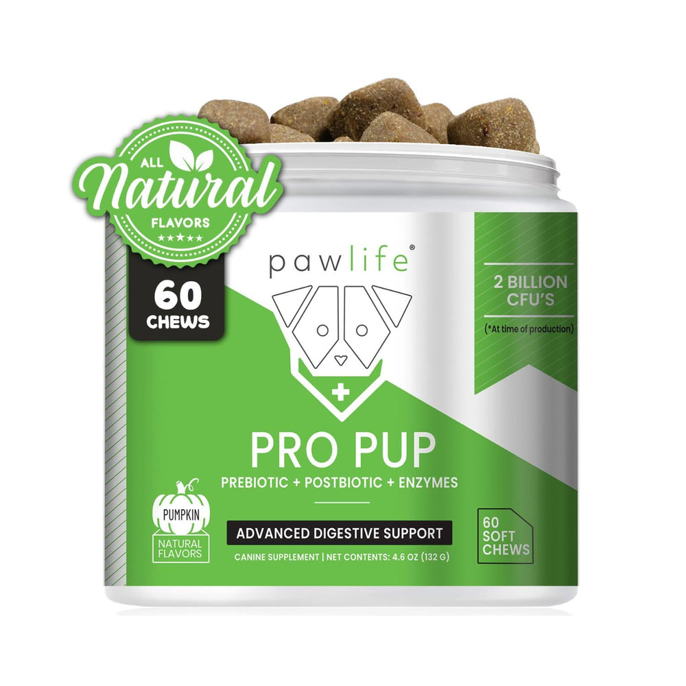 Pawlife probióticos para perros: gomitas suaves con calabaza para la digestión.