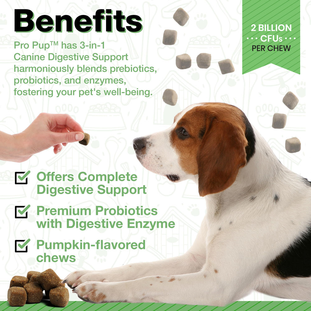 Pawlife probióticos para perros: gomitas blandas con sabor a calabaza para digestión.