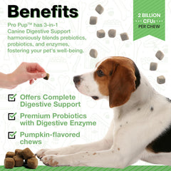 Pawlife probióticos para perros: gomitas blandas con sabor a calabaza para digestión.