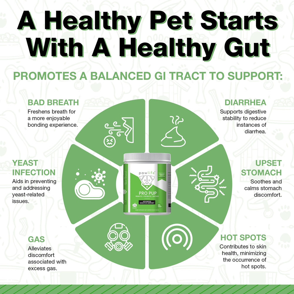 Pawlife probióticos para perros, gomitas sabor calabaza para una digestión equilibrada.