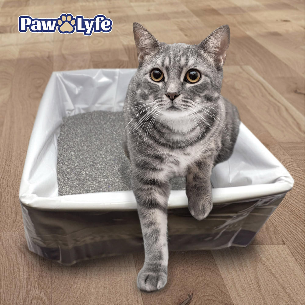 PawLyfe: paquete de 20 unidades para almacenamiento y ahorro.