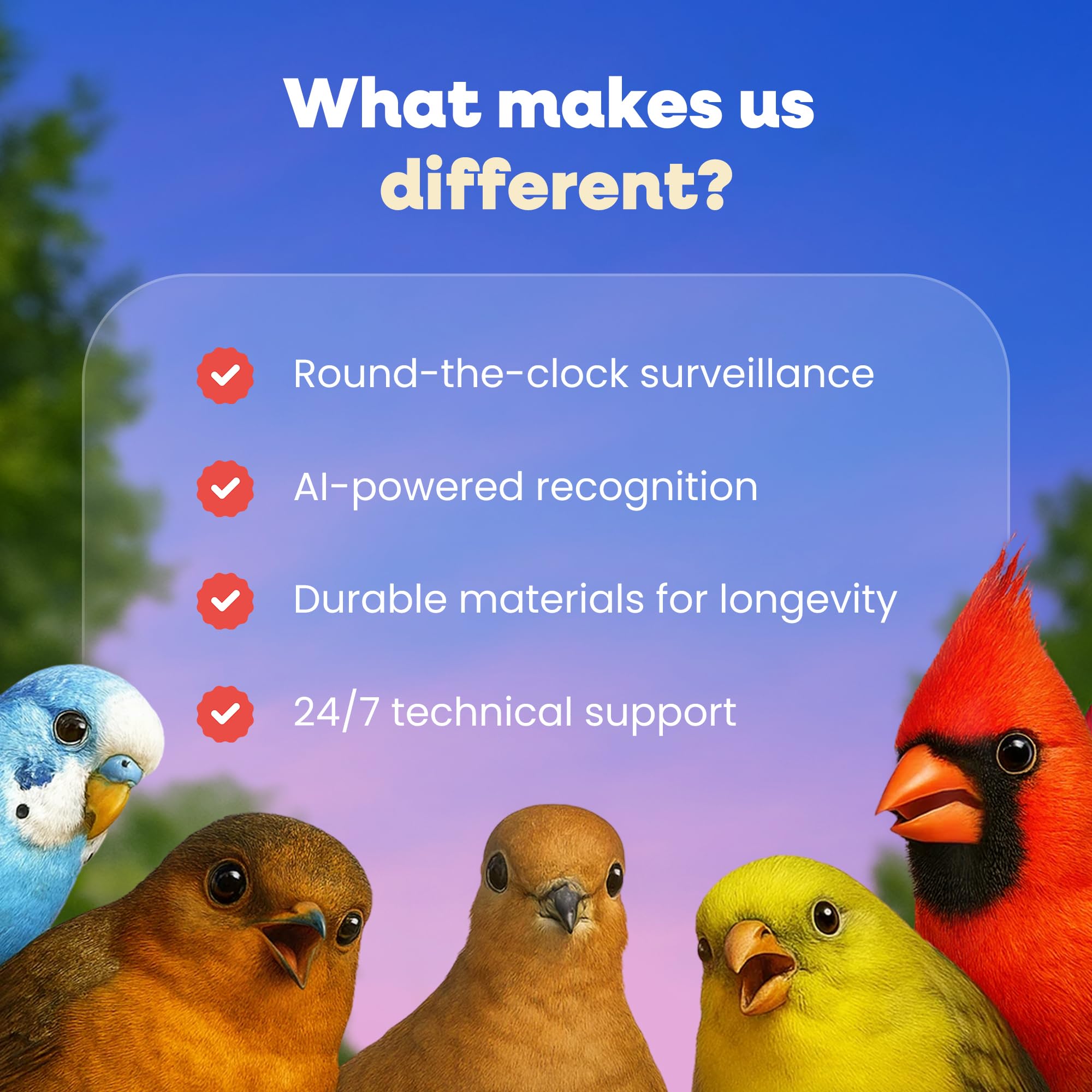 Audio bidireccional del comedero Pawmendous para interacción.