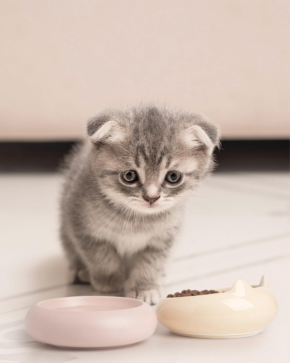 Regalo ideal para dueños de gatos con tazones PawMeow cerámicos.
