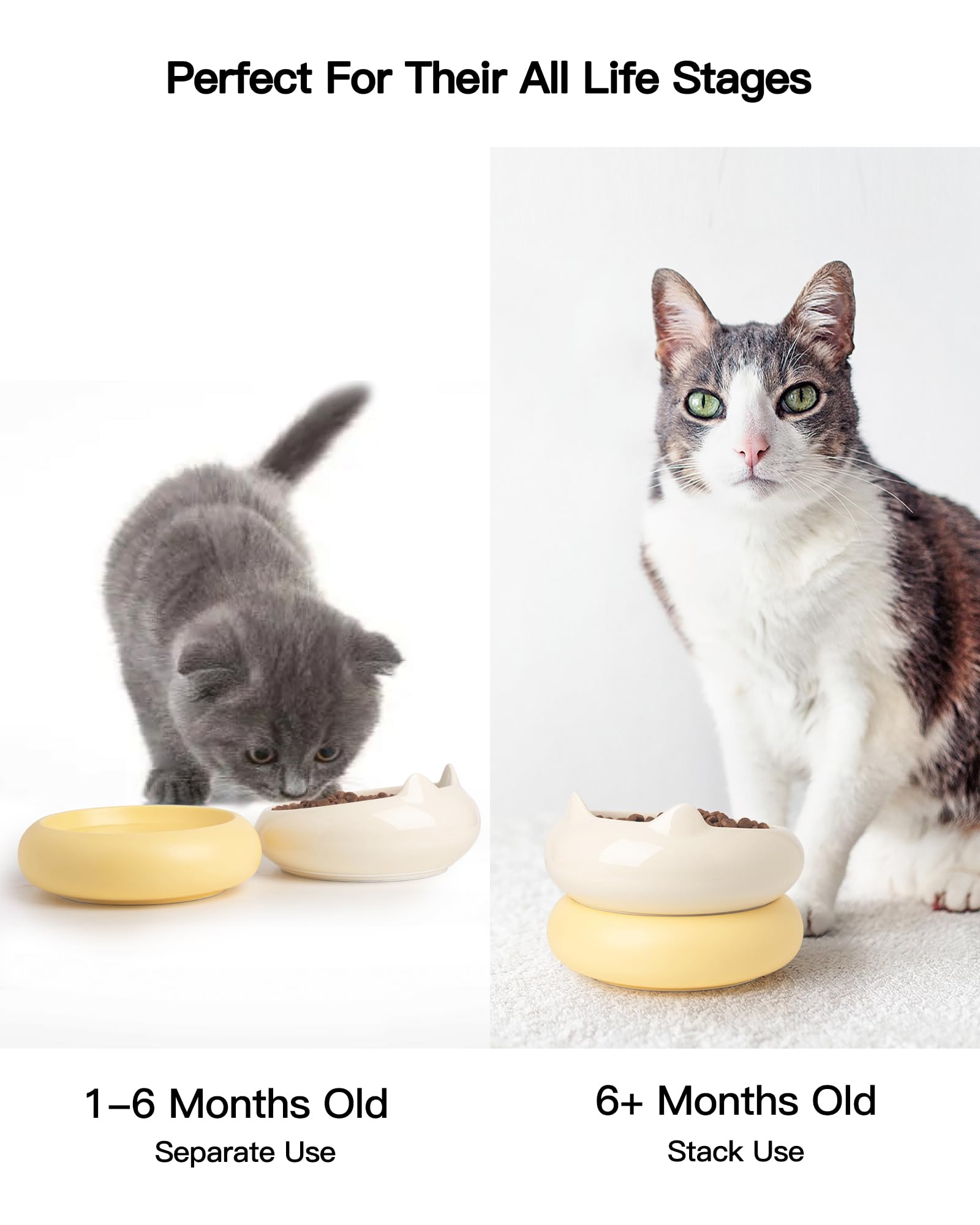 PawMeow tazon ceramico doble, ideal para comida y agua.