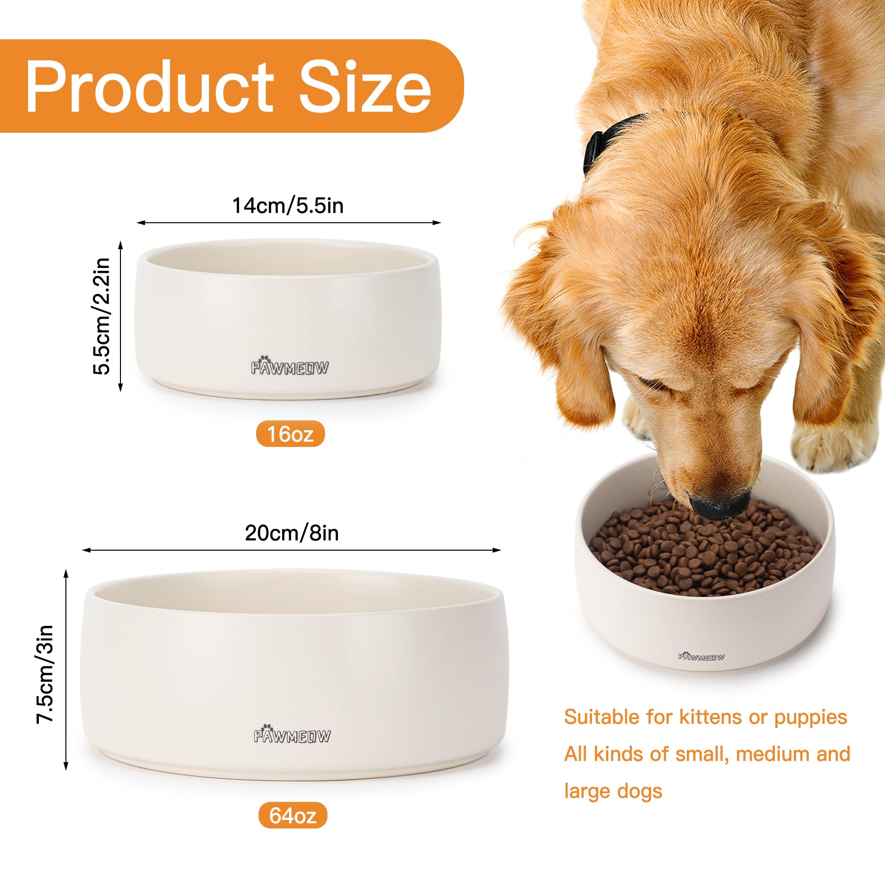 PawMeow tazón cerámico resistente a derrames, facilita comer sin salpicar.