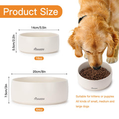 PawMeow tazón cerámico resistente a derrames, facilita comer sin salpicar.