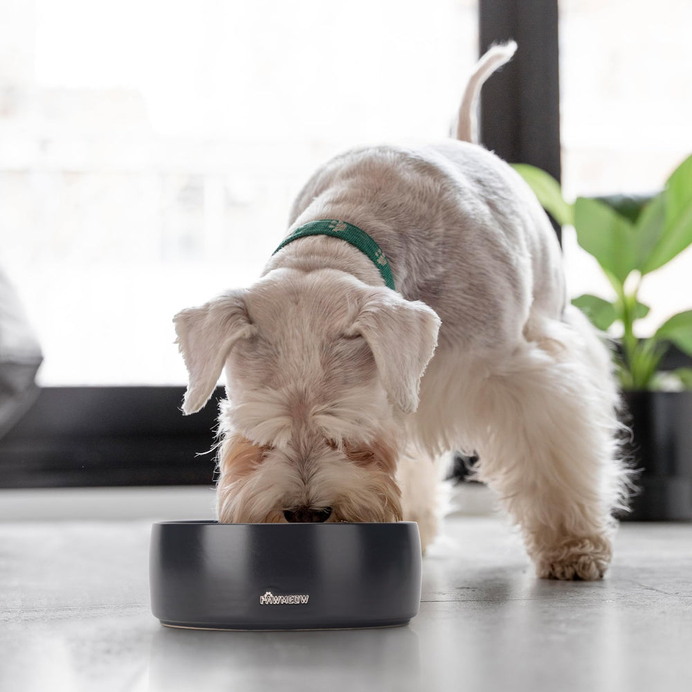 PawMeow tazón cerámico con compromiso de servicio al cliente.