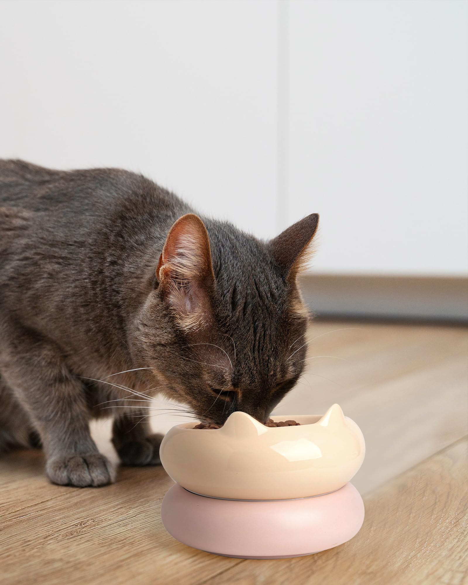 Tamaño de PawMeow 5 onzas por tazón para gatos pequeños.