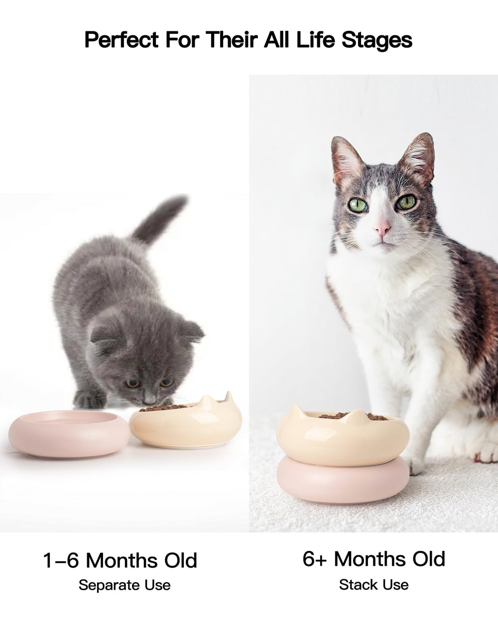 Tazones PawMeow elevados de dos niveles para cuello más cómodo.
