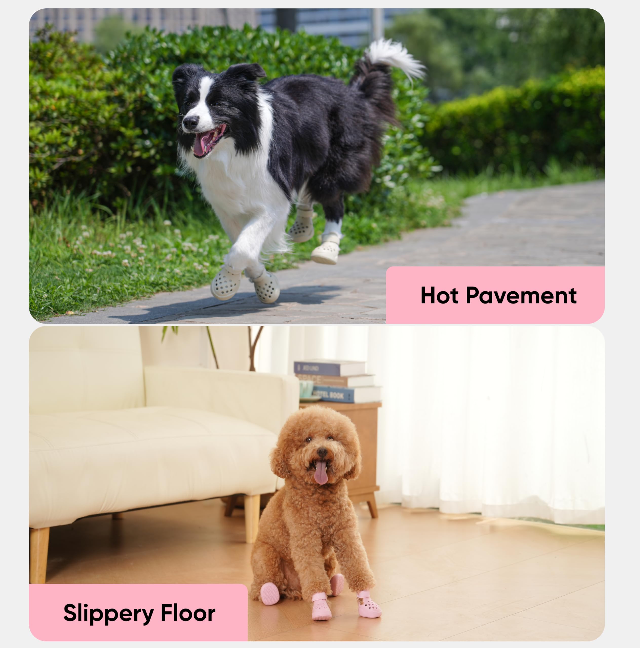 PawPosh zapatos para perro en tallas pequeña, mediana y grande para ajuste adecuado.