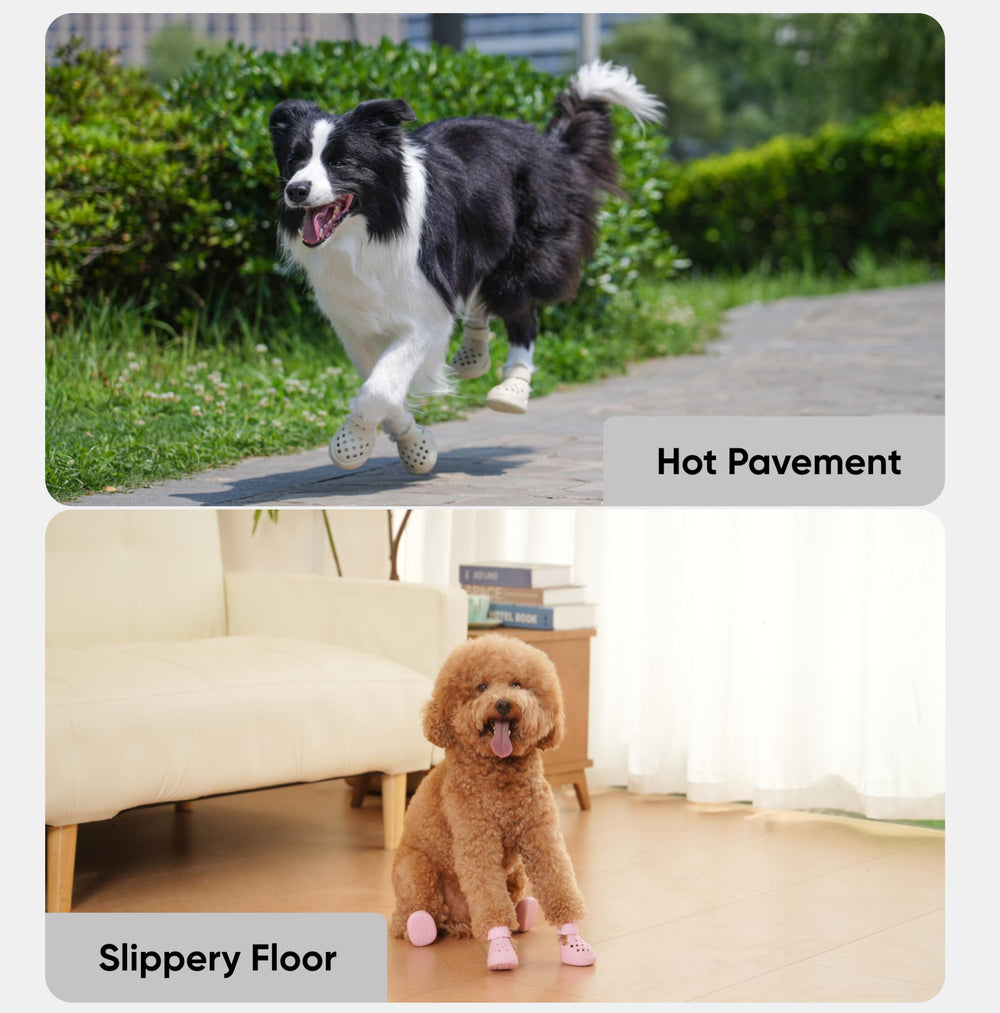 PawPosh tallas S, M y L para perros de diferentes tamaños